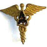 WWII US Army Medical Administrative Corps Officer Collar Device Insignia