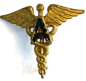 WWII US Army Medical Administrative Corps Officer Collar Device Insignia