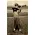 WWII Original US Troop Holding M1 Carbine Photograph