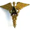 WWII US Army Medical Administrative Corps Officer Collar Device Insignia